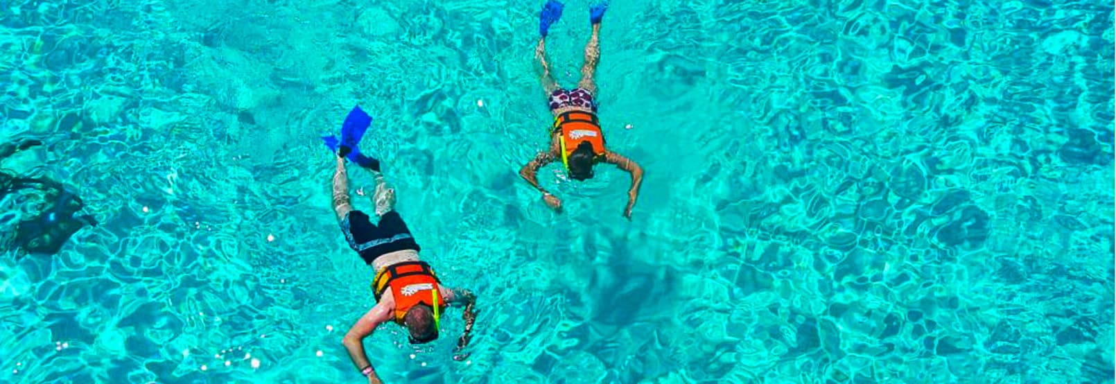 Aventura y Ecoturismo en ixtapa-zihuatanejo